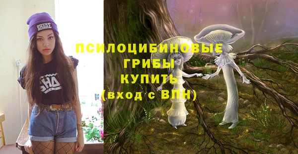 ПСИЛОЦИБИНОВЫЕ ГРИБЫ Гусев