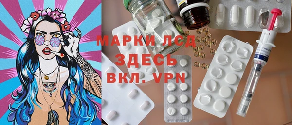 ПСИЛОЦИБИНОВЫЕ ГРИБЫ Гусев