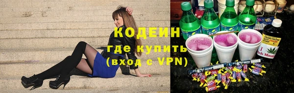амф Гусиноозёрск