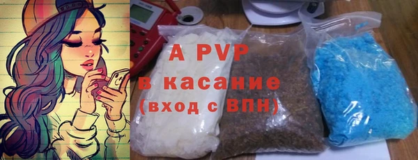 амф Гусиноозёрск