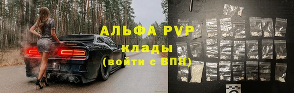 ПСИЛОЦИБИНОВЫЕ ГРИБЫ Гусев