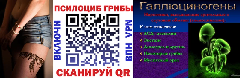 Купить где  Поронайск  Псилоцибиновые грибы GOLDEN TEACHER 
